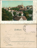 Ansichtskarte Bautzen Budyšin Panorama-Ansicht 1899 - Bautzen