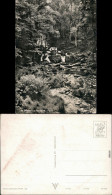 Ansichtskarte Alexisbad-Harzgerode Selketal 1965 - Otros & Sin Clasificación