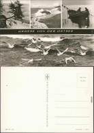 Allgemein Mecklenburg Vorpommern Uferbereich, Strand, Boot, Meer, Möwen 1971 - Autres & Non Classés