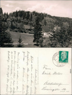 Ansichtskarte Schellerhau-Altenberg (Erzgebirge) Schellermühle 1962 - Schellerhau