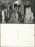 Ansichtskarte Rübeland Baumannshöhle - Die Säulenhalle 1959 - Autres & Non Classés