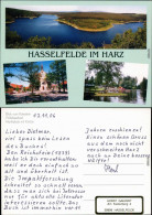 Hasselfelde Blick Vom Rotestein, Waldseebad, Markt Mit Ev. Kirche 2006 - Otros & Sin Clasificación
