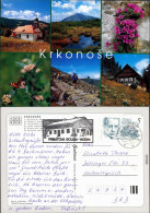 Ansichtskarte  Kapelle, Bergmotive, Blumen, Wanderrer, Baude 1998 - Zonder Classificatie