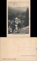 Ansichtskarte Winterberg Partie An Der Daubermühle Sauerland 1916  - Winterberg