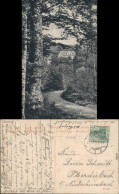 Ansichtskarte Bad Kissingen Weg Zum Ciziushof 1908  - Bad Kissingen