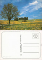 Ansichtskarte  Sommerfeld - Stimmungsmotiv Bild Heimat Reichenbach  1995 - Zu Identifizieren