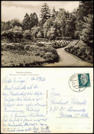 Naumburg (Saale) DDR AK Bürgergarten, Anlagen Im Rosengarten 1963 - Otros & Sin Clasificación