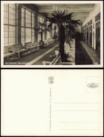 Postcard Bad Altheide Polanica-Zdrój Wandelhalle, Palmen 1932 - Schlesien