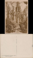 Fotokarte Oppenheim St. Katharinenkirche - Südseite Des Langhauses 1933 - Autres & Non Classés