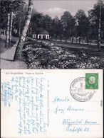 Bad Mergentheim Kurgarten - Pavillon Und Blumenbeete 1959 - Bad Mergentheim