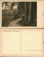 Ansichtskarte Badenweiler Waldandacht 1924 - Badenweiler