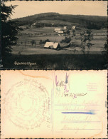 Ansichtskarte Rehefeld-Zaunhaus-Altenberg (Erzgebirge) Blick Auf Den Ort 1958 - Altenberg