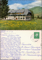 Bernau Im Schwarzwald Gasthof Und Pension Rössle 1961 - Autres & Non Classés
