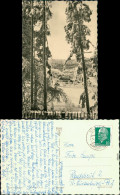 Ansichtskarte Rehefeld-Altenberg (Erzgebirge) Grenzbaude 1963 - Rehefeld