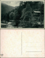 Ansichtskarte Schwarzburg Partie Am Schweizerhaus 1932  - Other & Unclassified