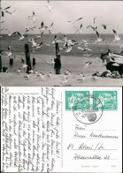 Ansichtskarte Usedom Insel Usedom: Möwen Und Boot Am Strand 1979 - Autres & Non Classés