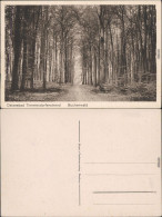Timmendorfer Strand Buchenwald - Weg 1926  - Autres & Non Classés
