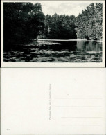 Postcard Misdroy Międzyzdroje Wasserrosen Jordansee 1930 - Pommern