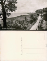 Keitum (Sylt) Kejtum / Kairem Straße, Weg An Der Küste Fotokarte 1930 - Autres & Non Classés