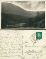 Postcard Krummhübel Karpacz Melzergrundbaude 1929 - Schlesien