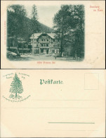 Ansichtskarte Ilsenburg (Harz) Hotel Prinzess Ilse 1911 - Autres & Non Classés
