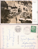 Mainau Partie Im Torkel-Keller Foto Ansichtskarte  1959 - Autres & Non Classés