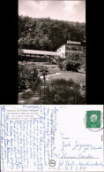 Bad Sooden-Allendorf Waldcafe Ansichtskarte  1961 - Bad Sooden-Allendorf