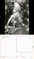 Ansichtskarte Lichtenhain Lichtenhainer Wasserfall 1983 - Autres & Non Classés