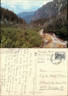 Postcard Zakopane Hohe Tatra Tatry Wysokie (Polen) Landschaftsbild 1975 - Pologne