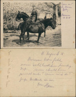 Foto Pannes Militaria 1. WK Soldat Mit 2 Pferden 1918 Privatfoto - Autres Communes