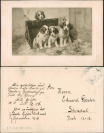 Ansichtskarte  Tiere - Hunde, Künstlerkarte Hunde Welpen 1922 - Dogs