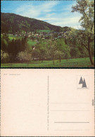 Ansichtskarte Badenweiler Blick Zur Stadt 1980 - Badenweiler