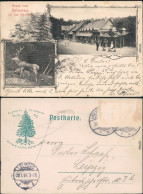 Ansichtskarte Bad Harzburg 2 Bild: Gruss Vom Molkenhaus 1906  - Bad Harzburg