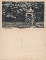 Ansichtskarte Wiesenburg Mark Schloß-Brunnen 1922 - Autres & Non Classés