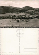 Tabarz/Thüringer Wald Panorama-Ansicht Mit Großer Inselberg / Inselsberg 1963 - Autres & Non Classés
