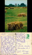 Lorraine Parc Naturel Regional De Lorraine/Regionaler Naturpark Lothringen 1983 - Autres & Non Classés