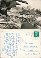 Ansichtskarte Wildenthal-Eibenstock Große Bockau Im Winter 1965 - Eibenstock