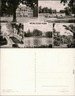 Wörlitz-Oranienbaum-Wörlitz Wörlitzer Park - Schloß, Gondelstation 1962 - Autres & Non Classés