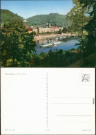 Ansichtskarte Bad Schandau Panorama-Ansicht Mit Elbdampfer 1988 - Bad Schandau