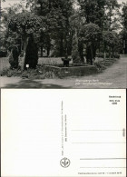 Ansichtskarte Rheinsberg (Mark) Diät-Sanatorium "Hohenelse" Xx 1970 - Autres & Non Classés