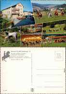 Ansichtskarte Ampflwang Reiterhof/Reitschule 1990 - Altri & Non Classificati