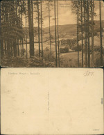 Ansichtskarte Paulinzella-Stadtilm Rottenbachtal 1918 - Stadtilm