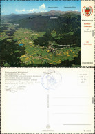 Ansichtskarte Innsbruck Mittelgebirge - Der Zirbenweg 1985 - Innsbruck