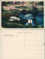 Cognac Jardins De L'Hotel-de-Ville - Le Lac/Garten Des Stadthotels Mit See 1940 - Autres & Non Classés