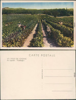 CPA Cognac Felder - Ernte 1940 - Other & Unclassified