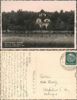 Ansichtskarte Gohrisch  Sächs Schweiz) Erholungsheim Haidehof B Königstein 1936 - Gohrisch