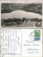 Ansichtskarte Titisee Panorama-Ansicht 1955 - Autres & Non Classés