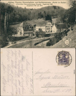 Ansichtskarte Grenzach-Wyhlen Pension Himmelspforte B Lörrach 1919 - Autres & Non Classés