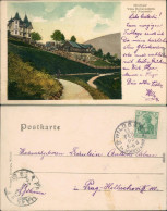 Ansichtskarte Bad Wildbad Villa Hohenzollern Und Fasanerie 1905  - Autres & Non Classés