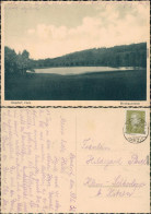 Ansichtskarte Neudorf (Harz) Birnbaumteich 1932  - Other & Unclassified